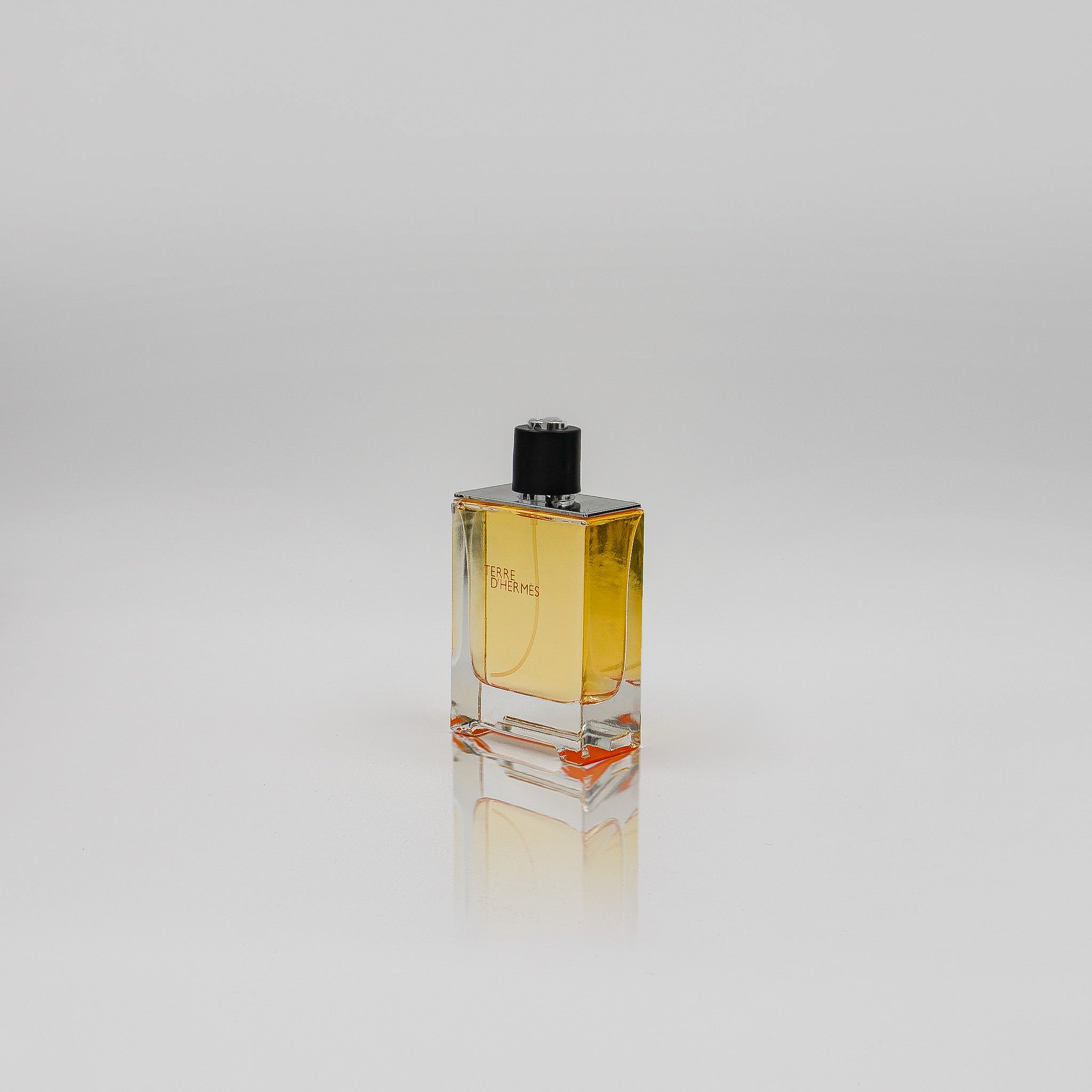 Terre d'Hermès Hermès 100 ML