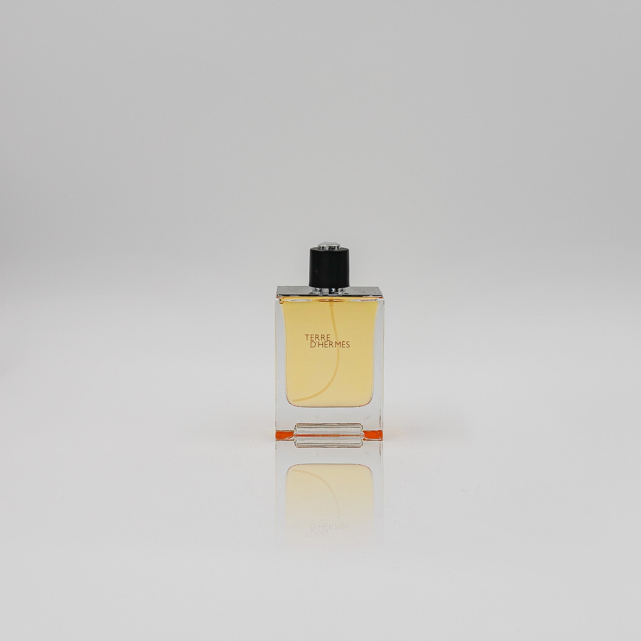 Terre d'Hermès Hermès 100 ML