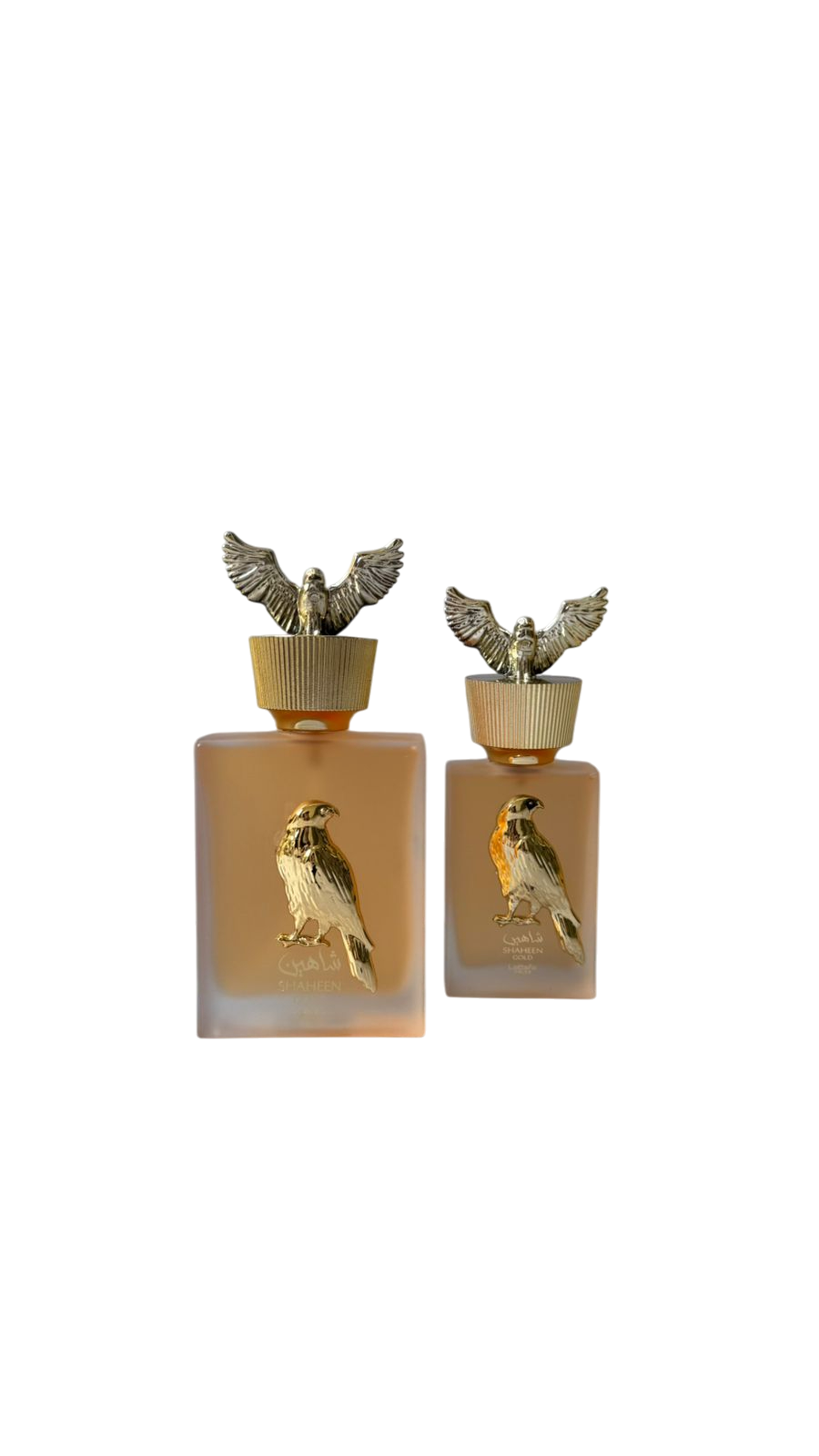 Estuche Shaheen Gold